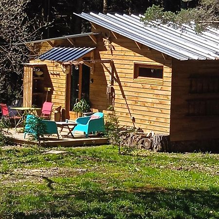 Chalet Libellule Domaine De La Mamounette Champclause Εξωτερικό φωτογραφία