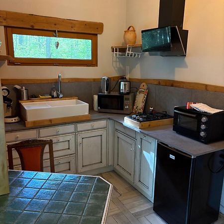 Chalet Libellule Domaine De La Mamounette Champclause Εξωτερικό φωτογραφία