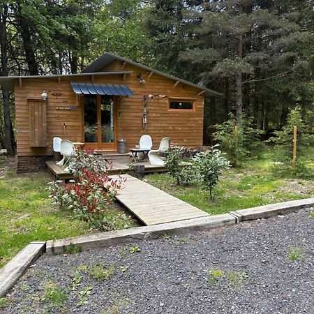 Chalet Libellule Domaine De La Mamounette Champclause Εξωτερικό φωτογραφία
