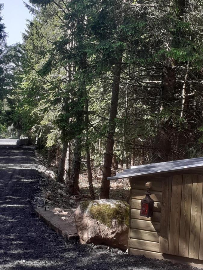 Chalet Libellule Domaine De La Mamounette Champclause Εξωτερικό φωτογραφία