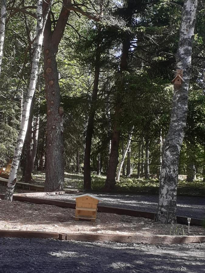 Chalet Libellule Domaine De La Mamounette Champclause Εξωτερικό φωτογραφία