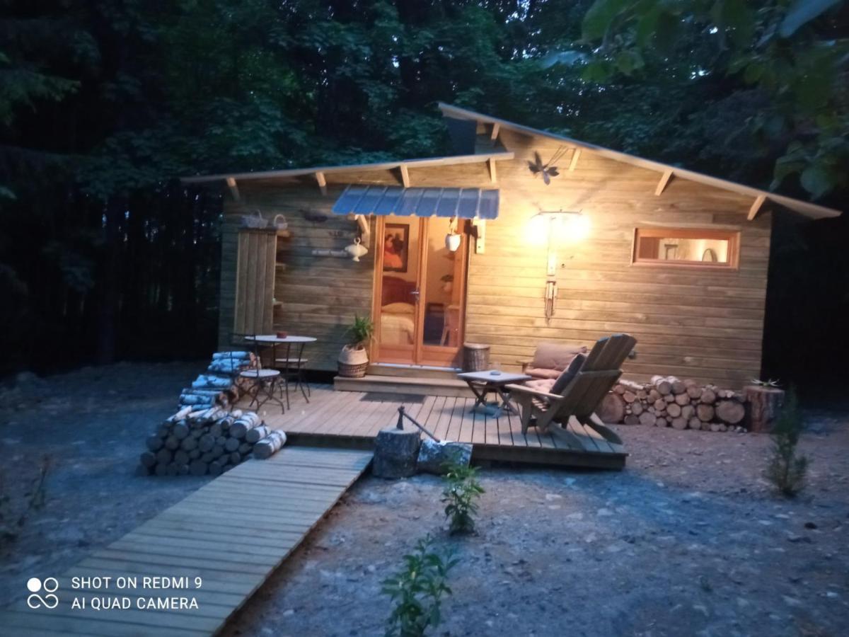 Chalet Libellule Domaine De La Mamounette Champclause Εξωτερικό φωτογραφία