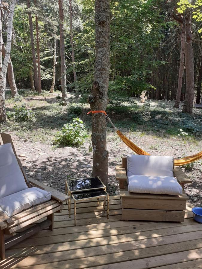 Chalet Libellule Domaine De La Mamounette Champclause Εξωτερικό φωτογραφία