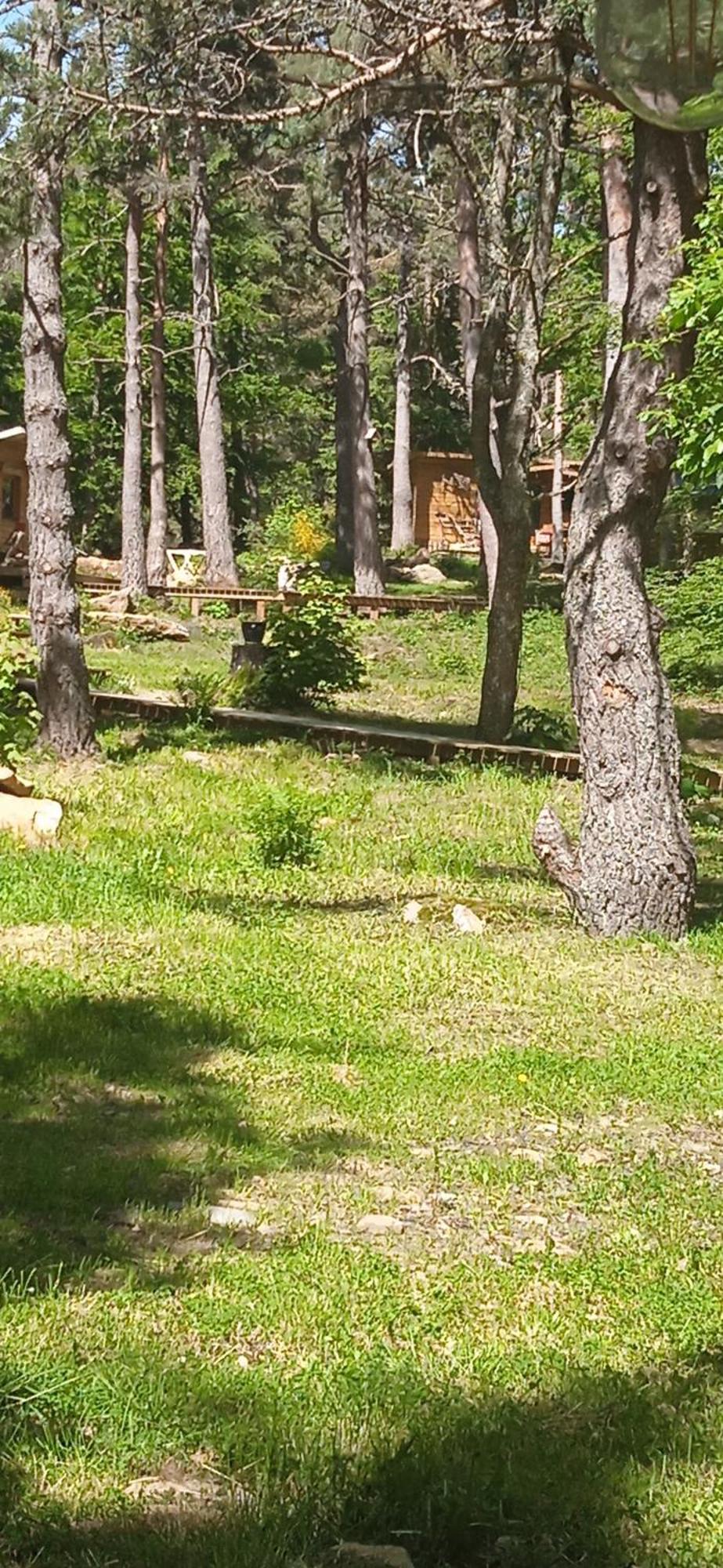 Chalet Libellule Domaine De La Mamounette Champclause Εξωτερικό φωτογραφία